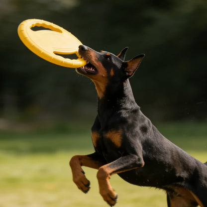 Dogs Flying Disc Chew Toy