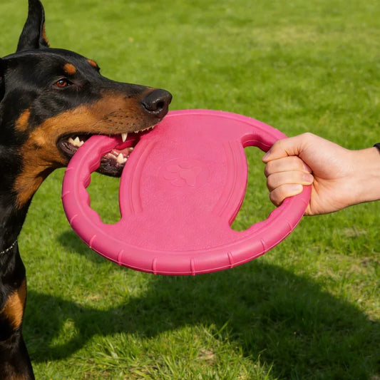 Dogs Flying Disc Chew Toy