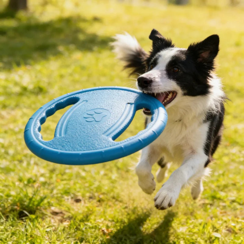 Dogs Flying Disc Chew Toy