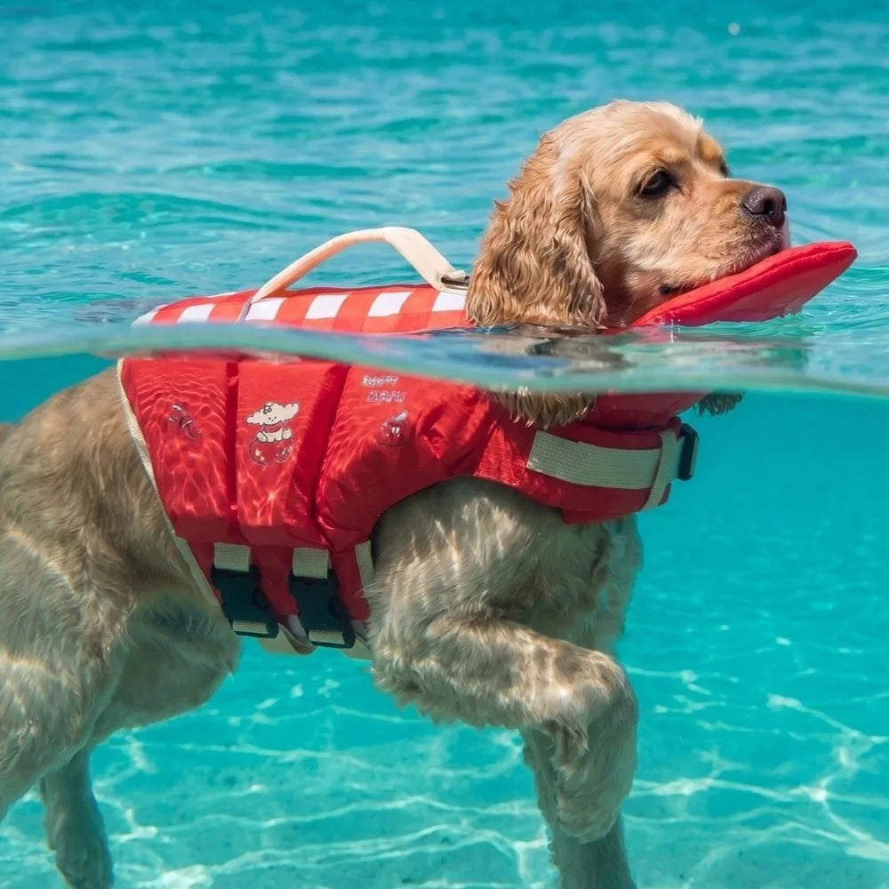 PawFloat™ Pet Safety Vest with Chin Float🐾