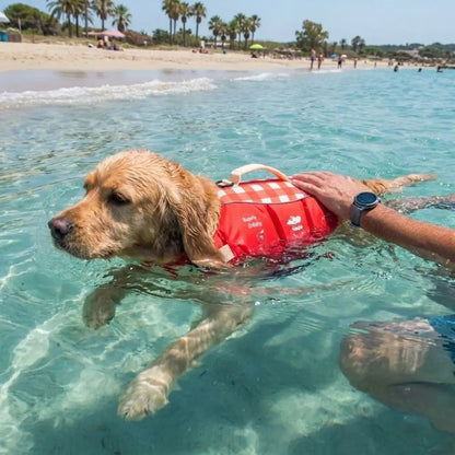 PawFloat™ Pet Safety Vest with Chin Float🐾