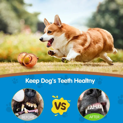 Pet Dog Outdoor Chew Toy