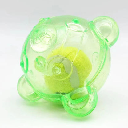 Pet Dog Outdoor Chew Toy
