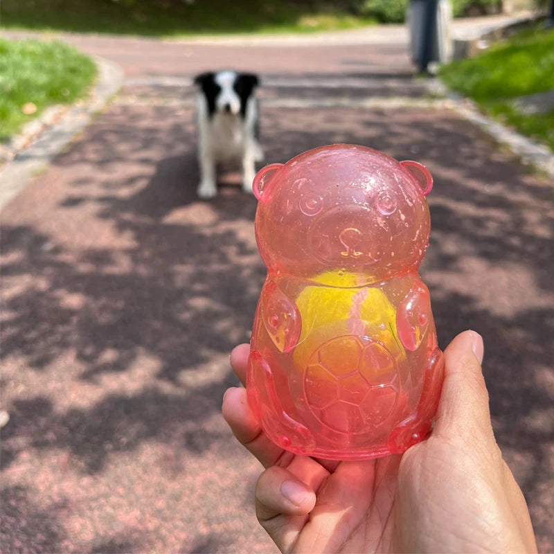 Pet Dog Outdoor Chew Toy